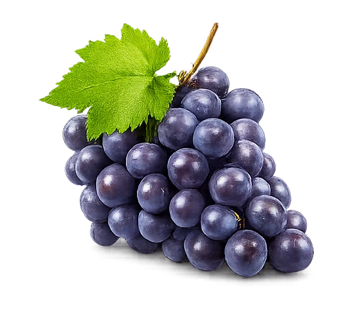Grapes