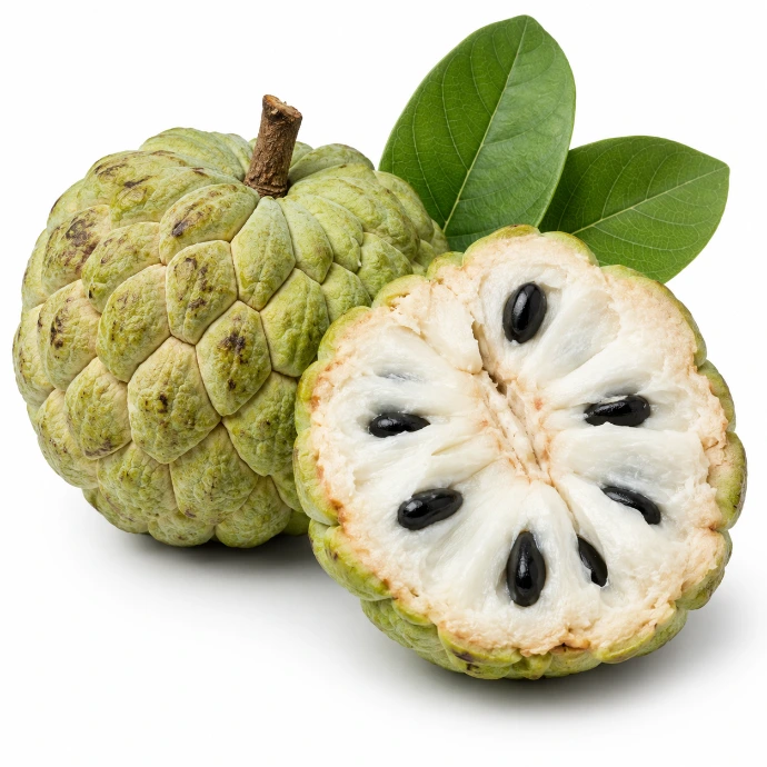 Custard Apple